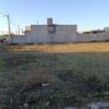 Terreno - Image 3